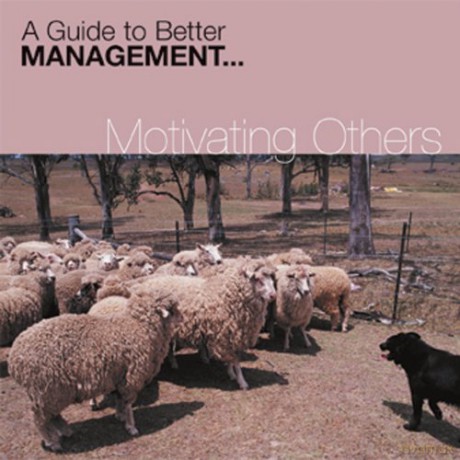 Di Kamp: Motivating Others (Fastforward Management Guides) [CD]