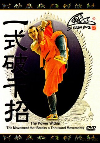 The Power Within - The Movement That Breaks A Thousand Movements [DVD]