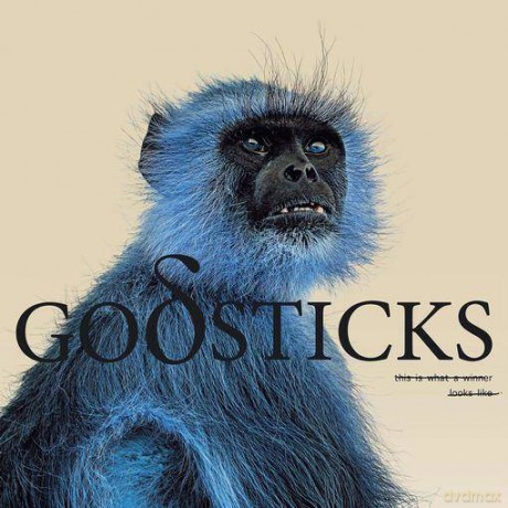 Godsticks: This Is What A Winner Looks Like [Winyl]