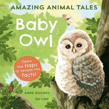Amazing Animal Tales Baby Owl - Anne Rooney [KSIĄŻKA]