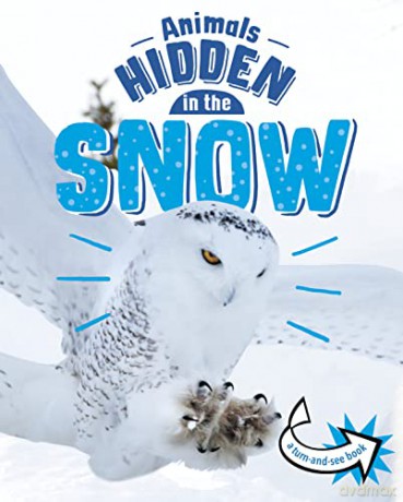 Animals Hidden In The Snow - Jessica Rusick [KSIĄŻKA]