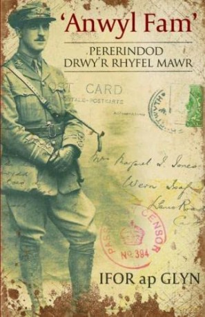 Anwyl Fam Pererindod Drwyr Rhyfel Mawr - Ifor ap Glyn [KSIĄŻKA]