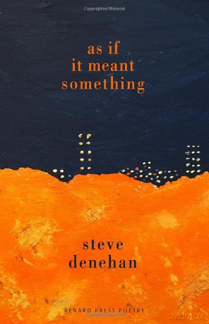 As If It Meant Something - Steve Denehan [KSIĄŻKA]