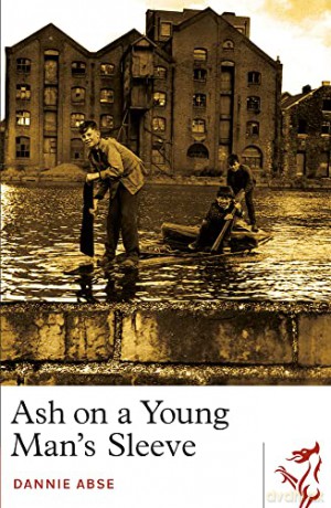 Ash On A Young Man's Sleeve - Dannie Abse [KSIĄŻKA]