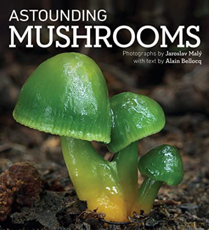 Astounding Mushrooms - Alain Bellocq [KSIĄŻKA]