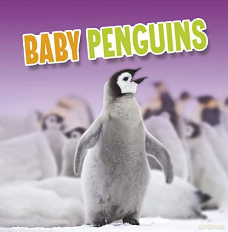 Baby Penguins - Martha E. H. Rustad [KSIĄŻKA]