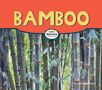 Bamboo - Joyce Markovics [KSIĄŻKA]