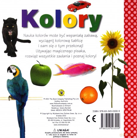 Kolory Poznaj I Rysuj Tw [KSIĄŻKA]