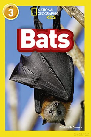 Bats - Elizabeth Carney [KSIĄŻKA]