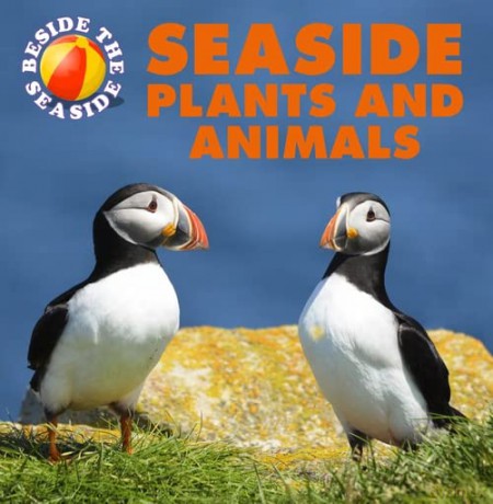 Beside The Seaside Plants Animals - Clare Hibbert [KSIĄŻKA]