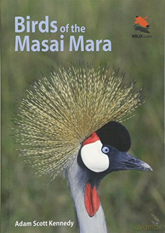 Birds Of The Masai Mara - Adam Scott Kennedy [KSIĄŻKA]