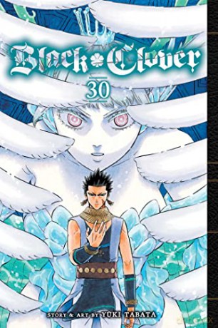 Black Clover Vol 30 - Yuki Tabata [KOMIKS]