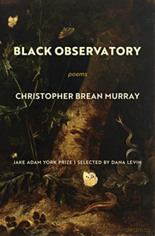 Black Observatory - Christopher Brean Murray [KSIĄŻKA]