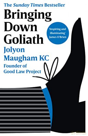 Bringing Down Goliath - Jolyon Maugham [KSIĄŻKA]