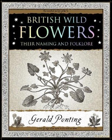 British Wild Flowers - Gerald Ponting [KSIĄŻKA]