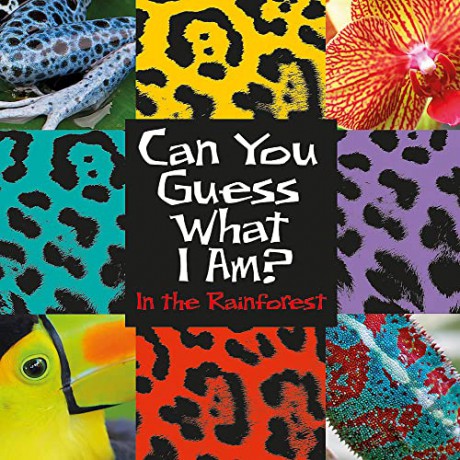 Can You Guess What I Am Rainforest - J.P. Percy [KSIĄŻKA]
