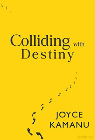 Colliding With Destiny - Joyce Kamanu [KSIĄŻKA]