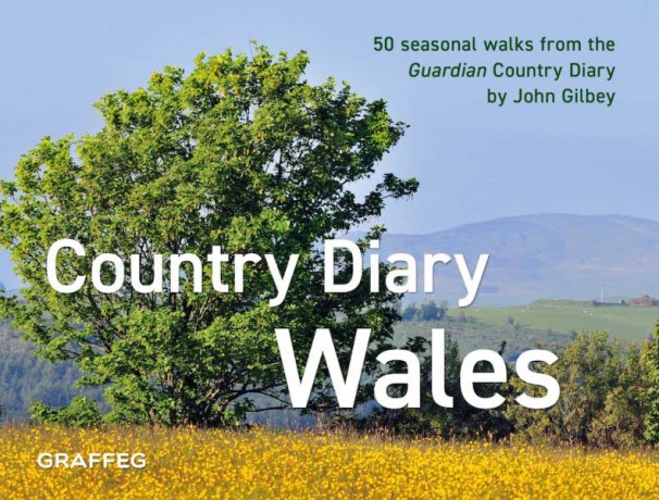 Country Diary In Wales - John Gilbey [KSIĄŻKA]