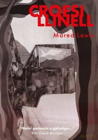 Croesi Llinell - Mared Lewis [KSIĄŻKA]