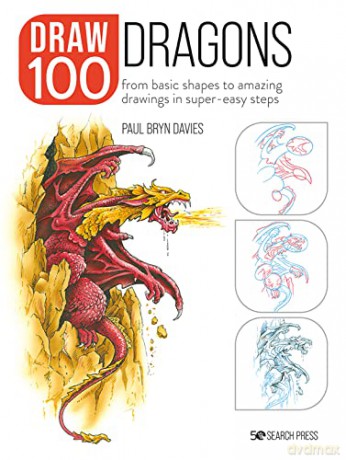 Draw 100 Dragons - Paul Bryn Davies [KSIĄŻKA]