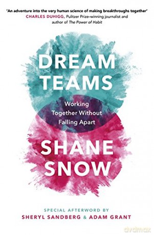Dream Teams - Shane Snow [KSIĄŻKA]