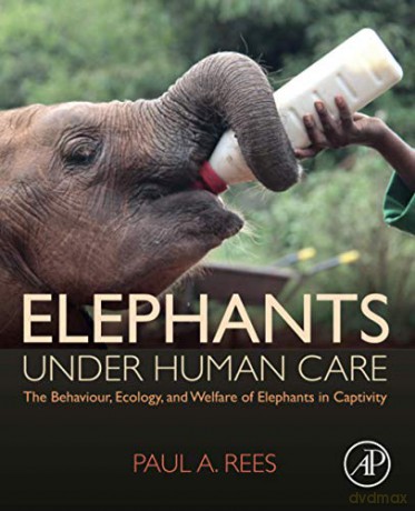 Elephants Under Human Care - Paul A. Rees [KSIĄŻKA]