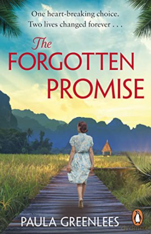 Forgotten Promise - Paula Greenlees [KSIĄŻKA]