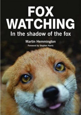 Fox Watching - Martin Hemmington [KSIĄŻKA]