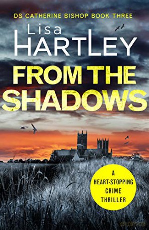 From The Shadows - Lisa Hartley [KSIĄŻKA]