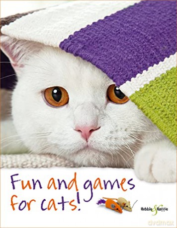 Fun And Games For Cats - Denise Seidl [KSIĄŻKA]