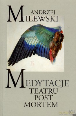 Medytacje Teatru Post Mortem - Andrzej Milewski [KSIĄŻKA]