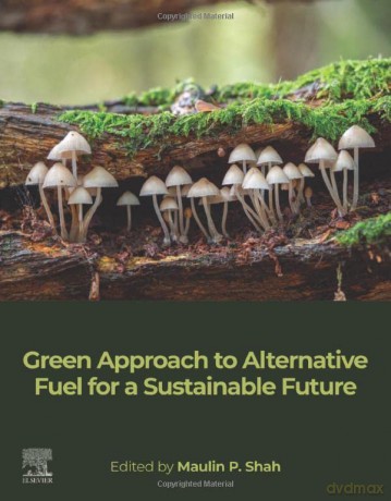 Green Approach to Alternative Fuel for a Sustainable Future - Maulin P Shah [KSIĄŻKA]