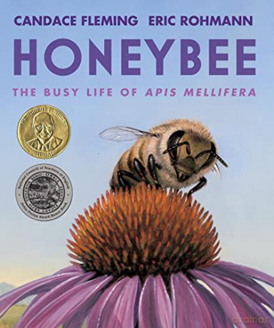 Honeybee - Candace Fleming [KSIĄŻKA]