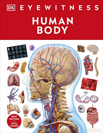 Human Body - DK [KSIĄŻKA]