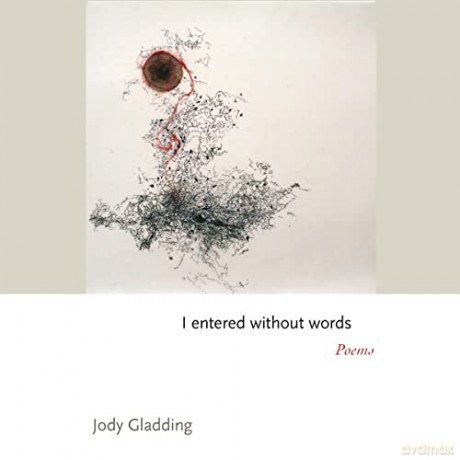 I Entered Without Words 8211 Poems - Jody Gladding [KSIĄŻKA]