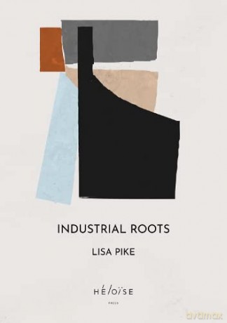 Industrial Roots - Lisa Pike [KSIĄŻKA]