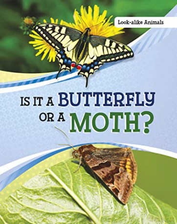 Is It A Butterfly Or A Moth - Susan B. Katz [KSIĄŻKA]