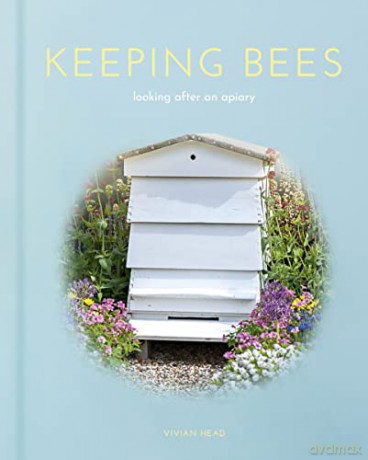 Keeping Bees - Vivian Head [KSIĄŻKA]