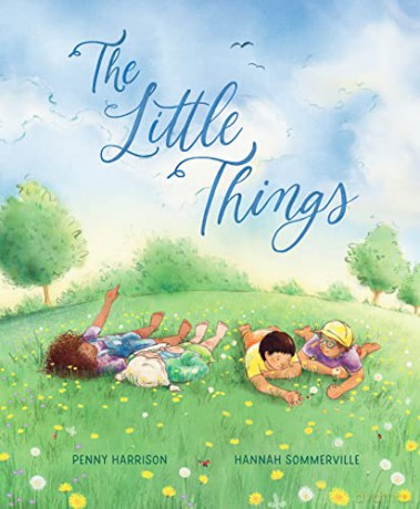 Little Things - Penny Harrison [KSIĄŻKA]