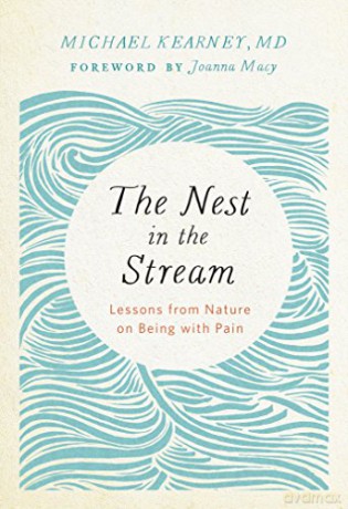 Nest In The Stream - Michael Kearney [KSIĄŻKA]