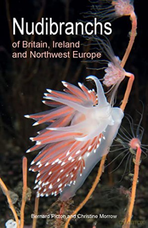 Nudibranchs of Britain, Ireland and Northwest Europe: 15 (Wild Nature Press, 15): Second Edition - Bernard Picton [KSIĄŻKA]