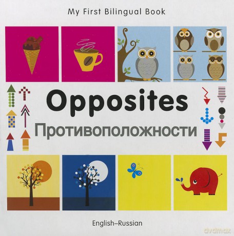 Opposites English-Russian - Milet [KSIĄŻKA]