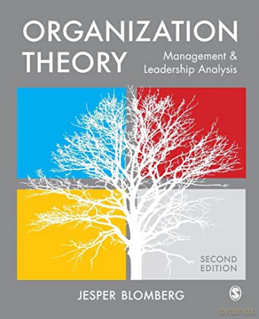 Organization Theory - Jesper Blomberg [KSIĄŻKA]
