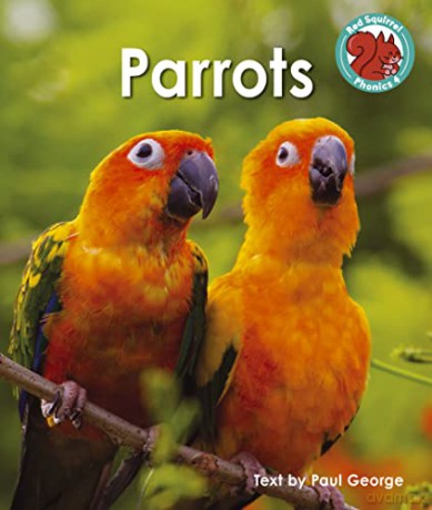 Parrots - Paul George [KSIĄŻKA]