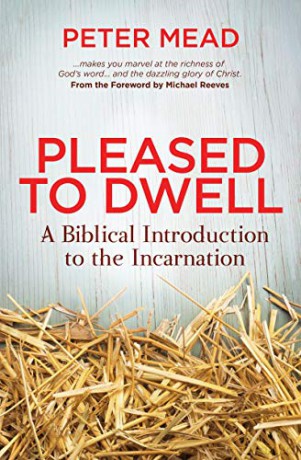 Pleased To Dwell - Peter Mead [KSIĄŻKA]