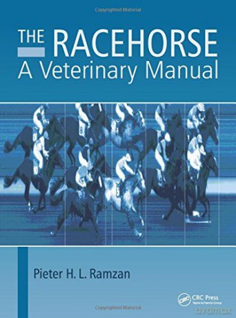Racehorse - Pieter H.L Ramzan [KSIĄŻKA]