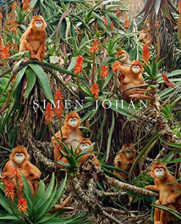 Simen Johan - Simen Johan [KSIĄŻKA]