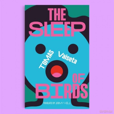 Sleep Of Birds - Tomas Vaiseta [KSIĄŻKA]