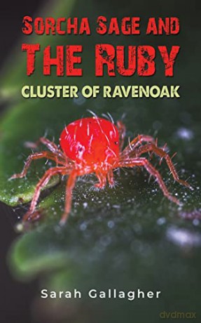 Sorcha Sage and the Ruby Cluster of Ravenoak - Sarah Gallagher [KSIĄŻKA]