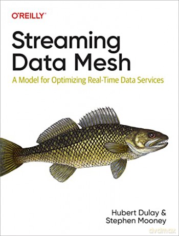 Streaming Data Mesh - Hubert Dulay [KSIĄŻKA]